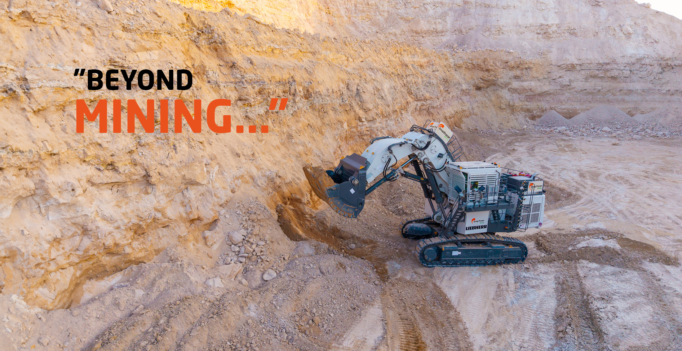 poster PROCAN v3 copie4